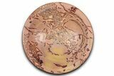 Polished Saharan Desert Jasper Dish - Morocco #349410-1
